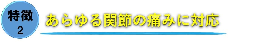 あらゆる関節の痛みに対応